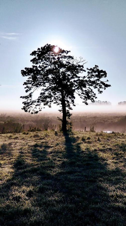 B&Bslapenopeeneiland Kaag Exteriér fotografie